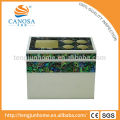 Canosa shell washroom colecciones coloridas shell 2in1 pasta de dientes y cepillo de dientes titular